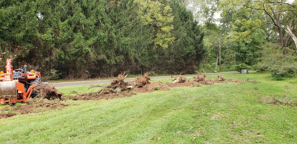Expert landscape installation in Bucks, PA - Lawn Professionals
