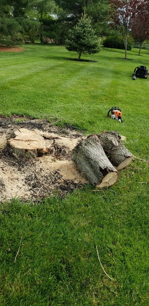 Trusted lawn care service experts serving Bucks, PA - Lawn Professionals