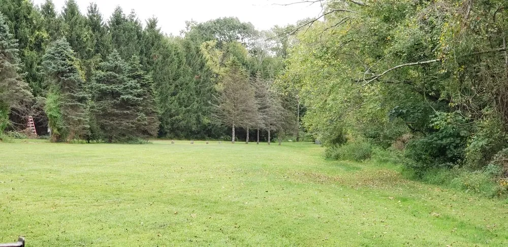 Reliable yard cleanup service in Bucks, PA by Lawn Professionals