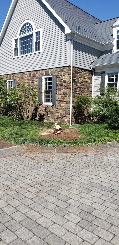 Trusted landscape design experts serving Bucks, PA - Lawn Professionals
