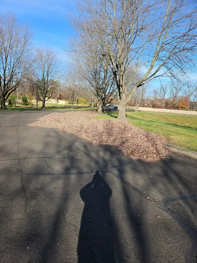 Local lawn mowing service near you across Bucks, PA - Lawn Professionals