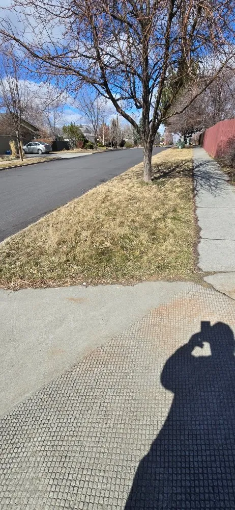 Reliable lawn care service in Bend, OR by Lawn Pro's