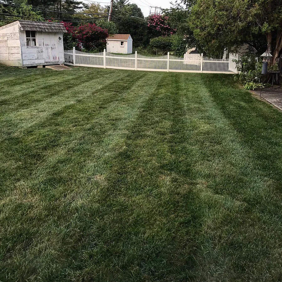 Top-rated lawn care service for outdoor upgrades in Bowie, MD by Lawn Pros