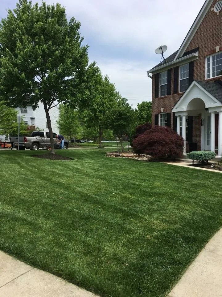 Trusted lawn mowing service in Bowie, MD - Lawn Pros