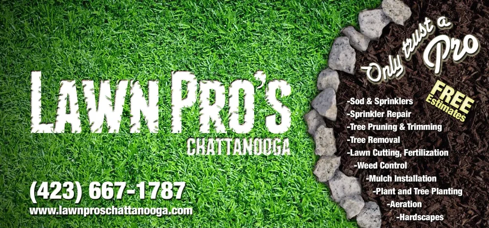 Professional garden landscaping in Chattanooga, TN - Lawn Pros