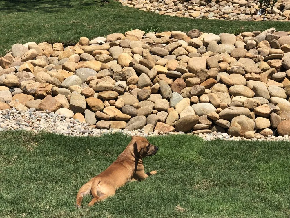 Affordable garden landscaping near you in Chattanooga, TN by Lawn Pros