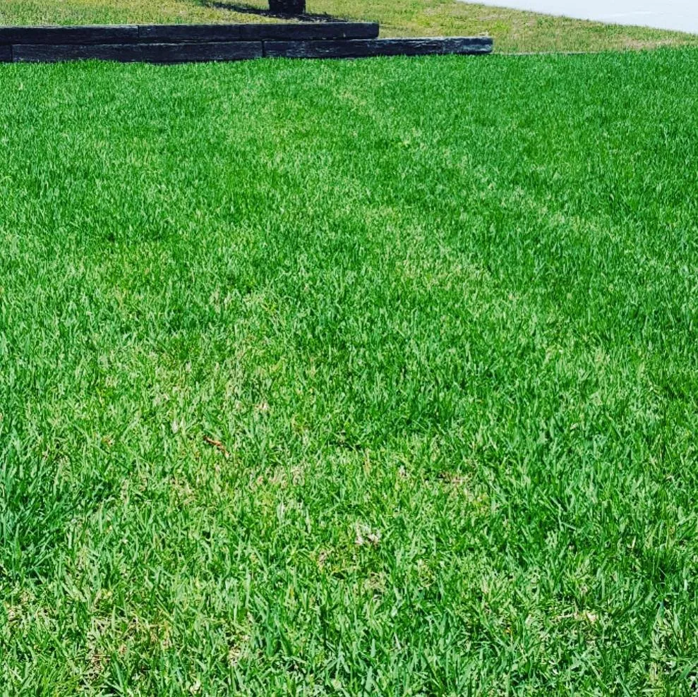Local lawn care service in Osteen, FL by Lawn Pro's Irrigation & Landscape