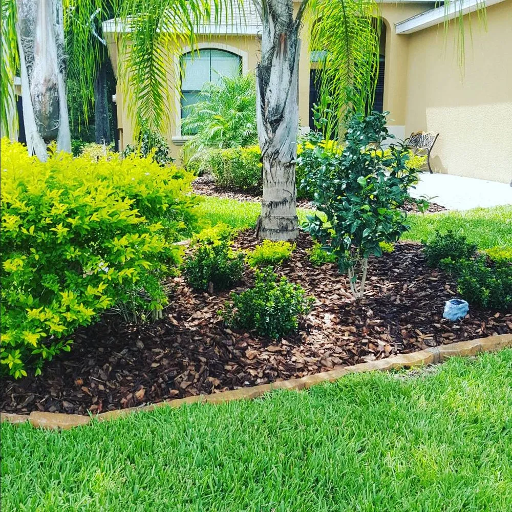 Professional lawn care service in Osteen, FL - Lawn Pro's Irrigation & Landscape
