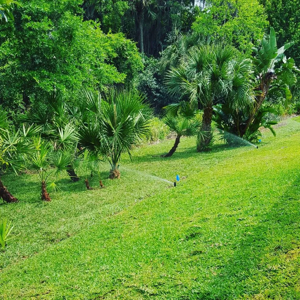 Expert landscaping services in Osteen, FL - Lawn Pro's Irrigation & Landscape
