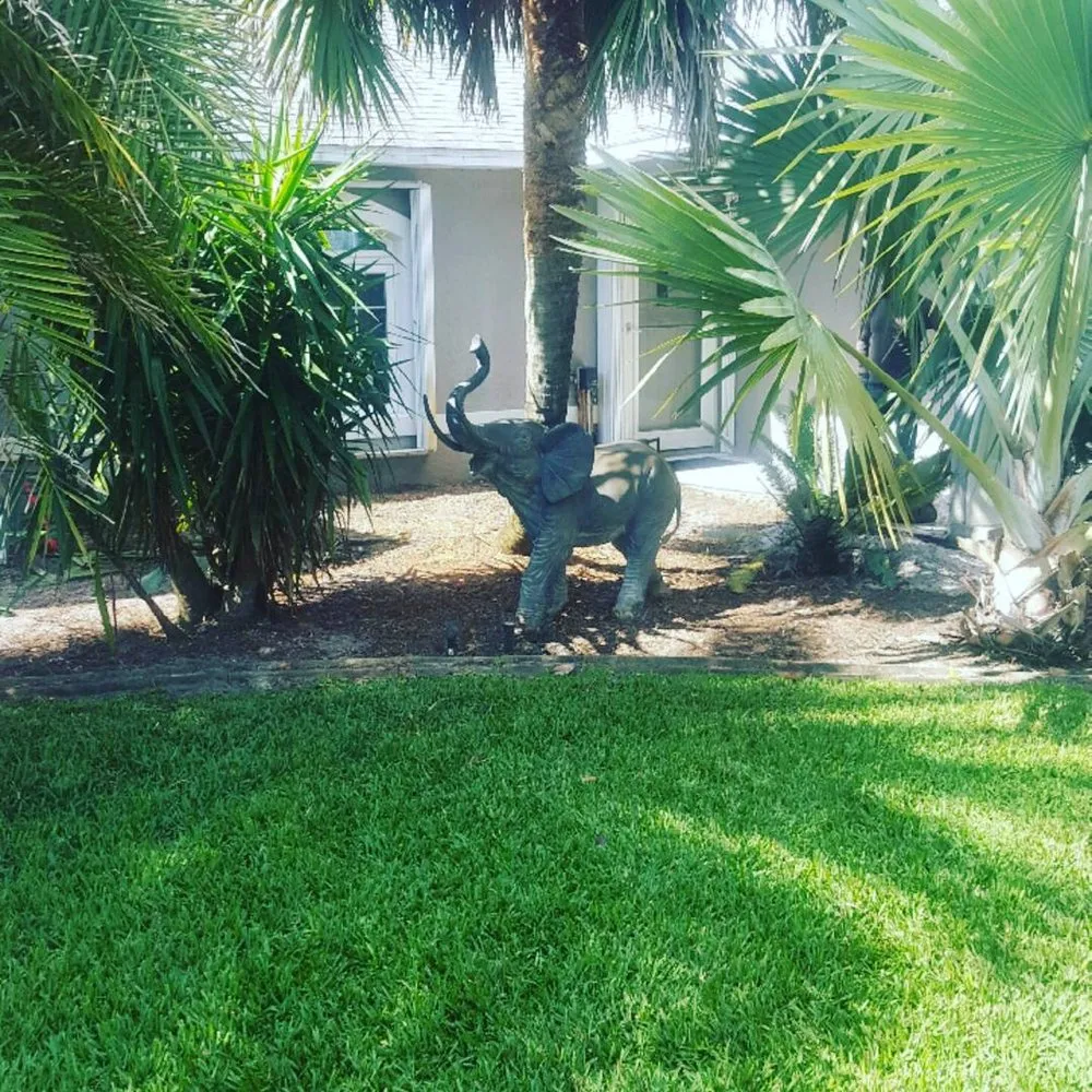 Reliable residential landscaping for beautiful yards across Osteen, FL - Lawn Pro's Irrigation & Landscape
