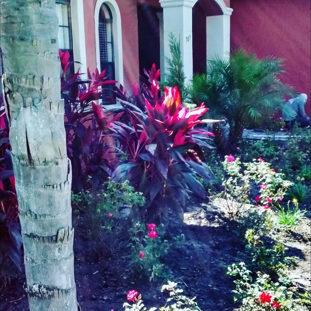 Reliable yard cleanup service in Osteen, FL by Lawn Pro's Irrigation & Landscape