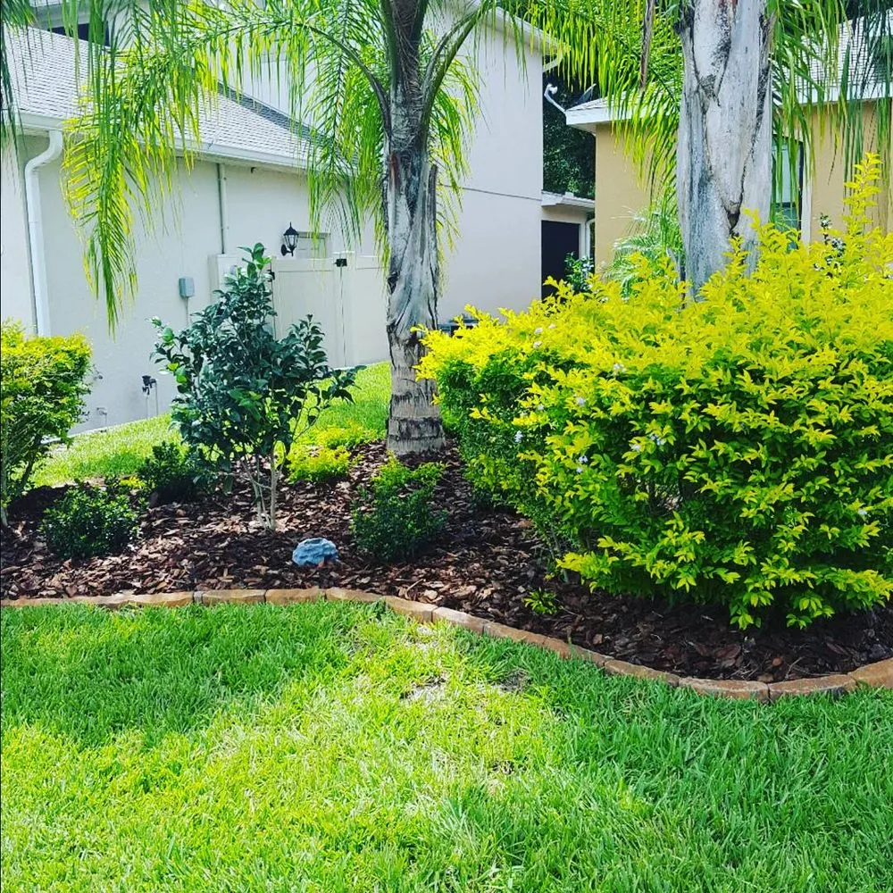 Custom landscaping services for beautiful yards across Osteen, FL - Lawn Pro's Irrigation & Landscape