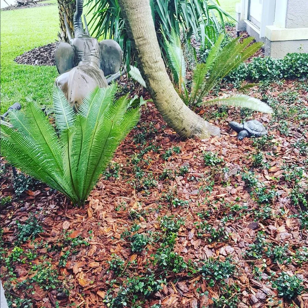 Affordable yard cleanup service in Osteen, FL - Lawn Pro's Irrigation & Landscape