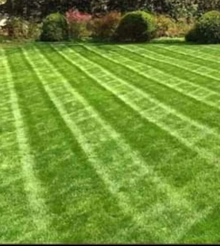 Affordable landscape design experts serving Lawrenceburg, KY - Lawn-Pros