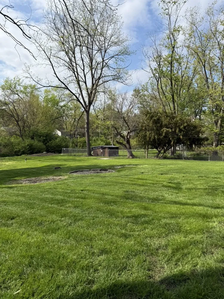 Trusted landscaping services in Matteson, IL by Lawn Pros