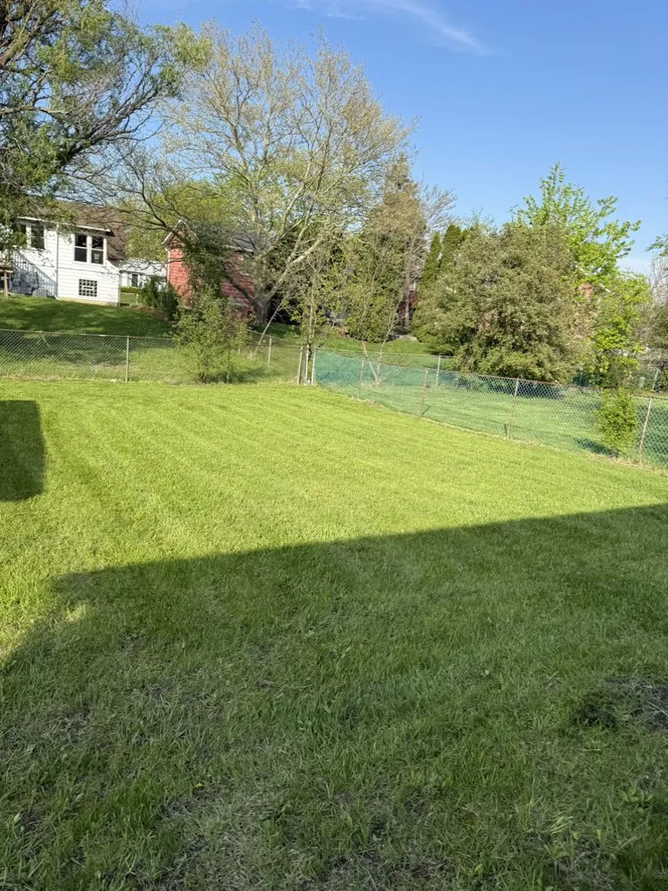 Reliable landscape design for beautiful yards in Matteson, IL by Lawn Pros