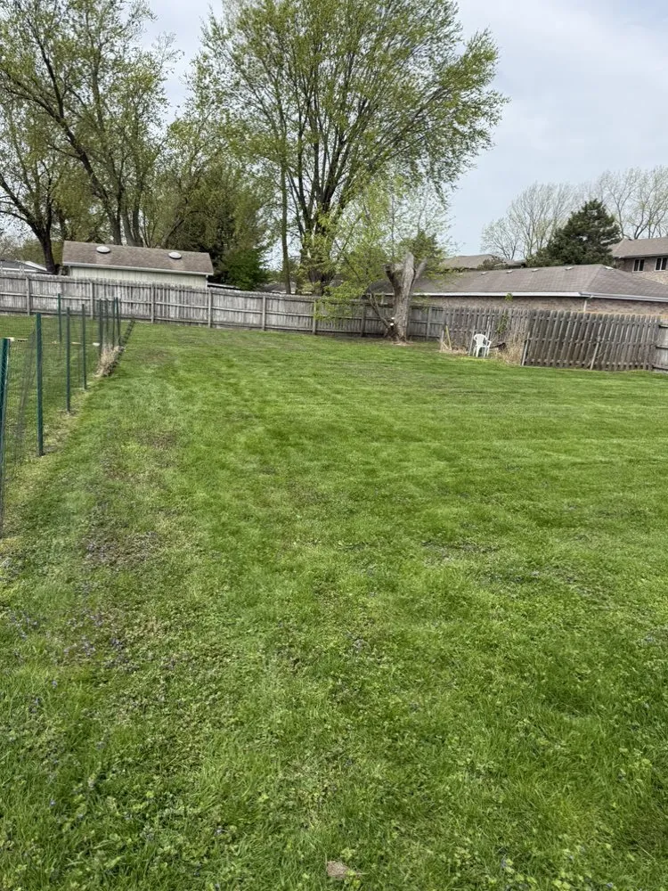 Reliable landscape design in Matteson, IL - Lawn Pros