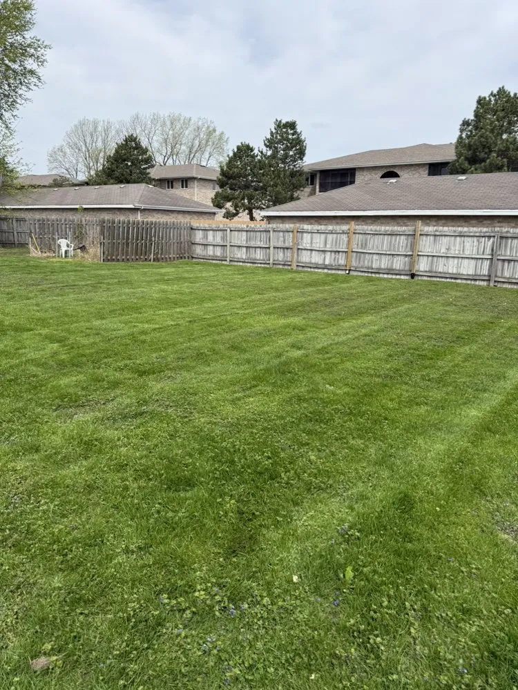 Reliable lawn care service in Matteson, IL by Lawn Pros