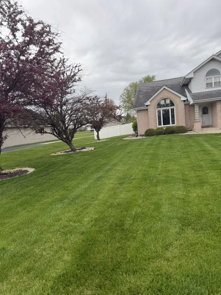 Top-rated landscaping services for beautiful yards in Matteson, IL by Lawn Pros