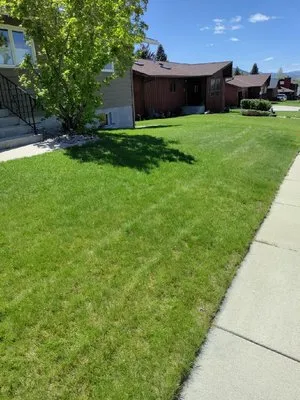Lawn Pro's Montana