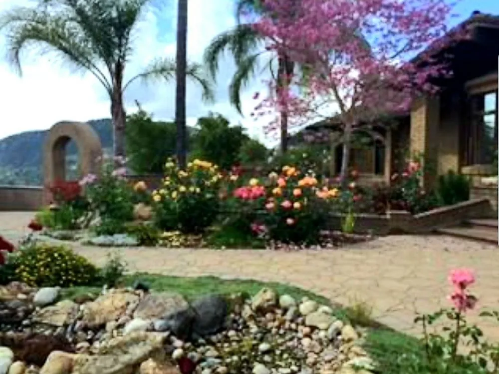 Affordable yard cleanup service near you across Oceanside, CA - Lawn Pros