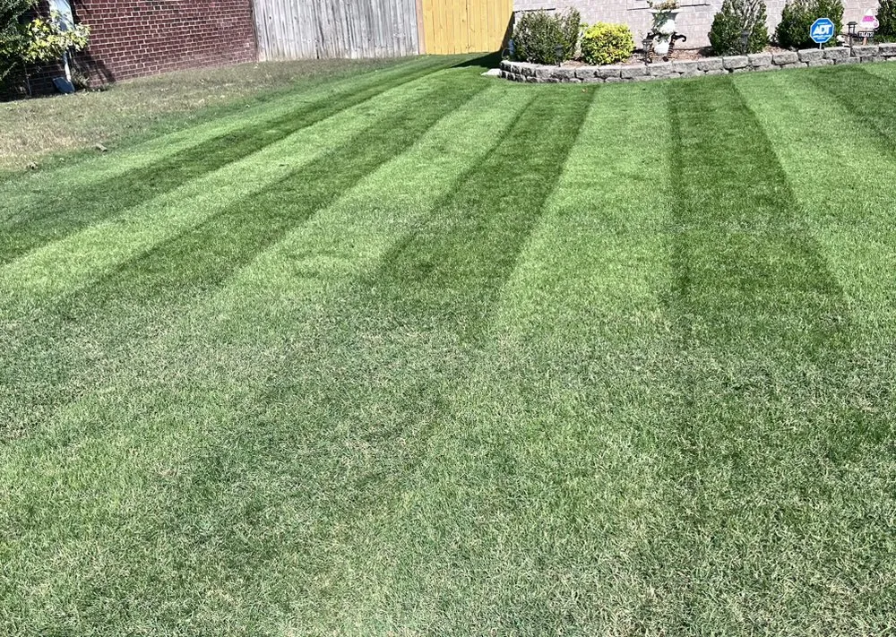 Trusted yard cleanup service experts serving Cabot, AR - Lawn Pros of Arkansas