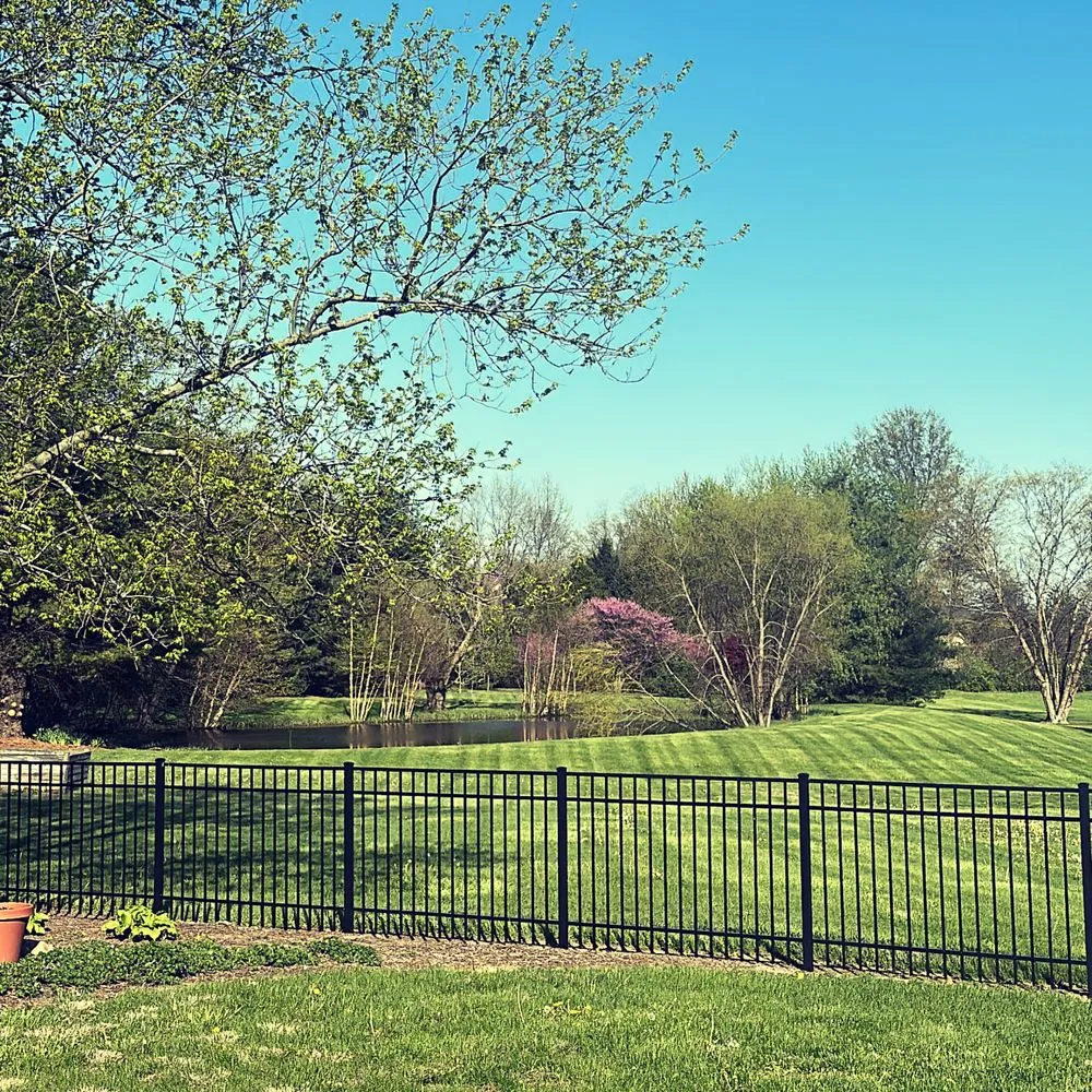 Local yard cleanup service for beautiful yards across Indianapolis, IN - Lawn Pros Of Indiana