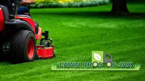 Top-rated yard cleanup service in St. Augustine, FL - Lawn Pros of Jax