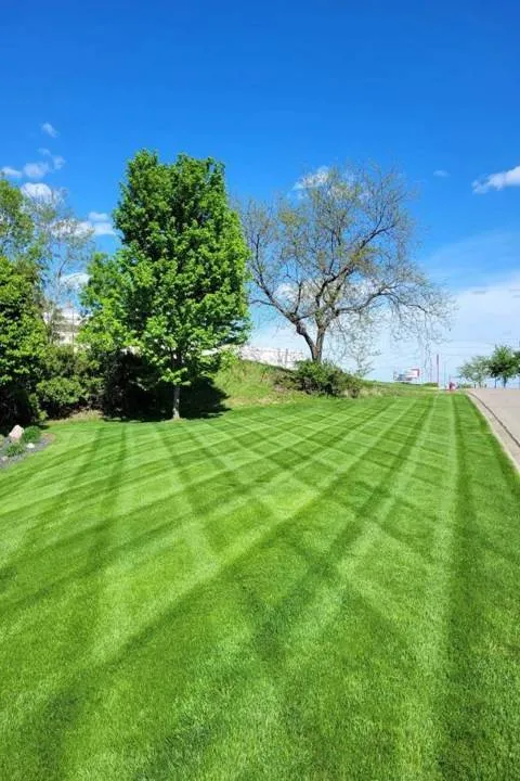 Local yard maintenance for homes in Elk Mound, WI by Lawn Pros of the Chippewa Valley