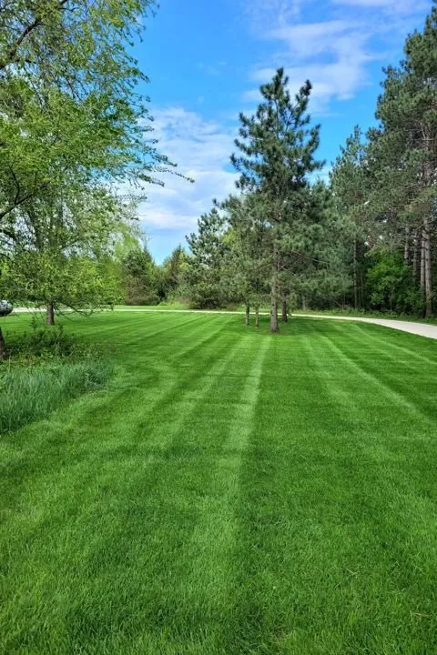 Local lawn care service in Elk Mound, WI - Lawn Pros of the Chippewa Valley
