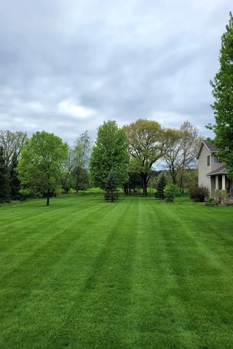 Expert yard cleanup service in Elk Mound, WI by Lawn Pros of the Chippewa Valley