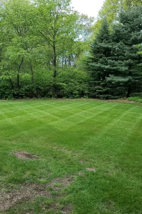 Local landscape installation experts serving Elk Mound, WI - Lawn Pros of the Chippewa Valley