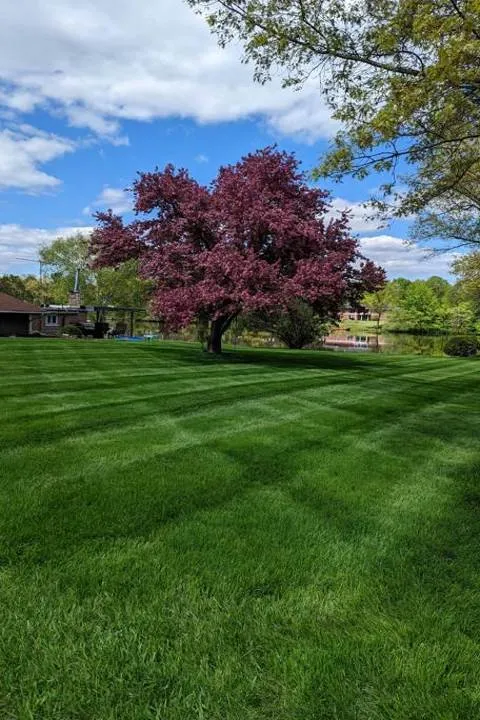 Affordable garden landscaping in Elk Mound, WI - Lawn Pros of the Chippewa Valley