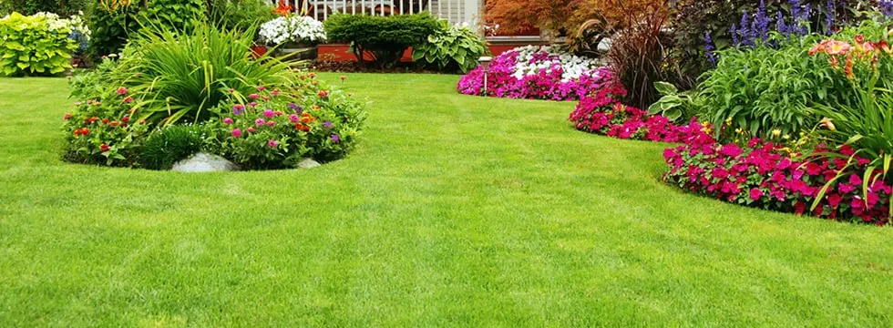 Expert yard maintenance experts serving Union Grove, WI - Lawn Pros