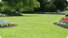 Top-rated yard cleanup service in Union Grove, WI - Lawn Pros