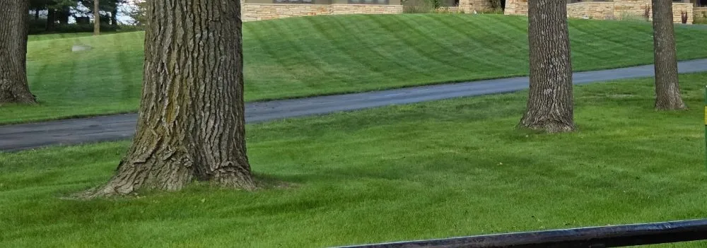 Trusted yard maintenance experts serving Waterloo, IA - Lawn Pros