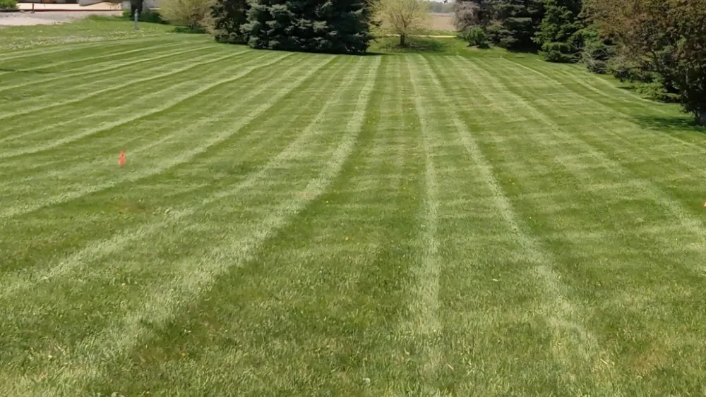Top-rated lawn mowing service experts serving Waterloo, IA - Lawn Pros