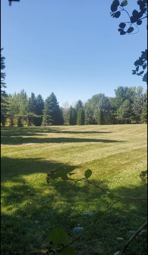 Trusted landscaping services with custom design in Waterloo, IA by Lawn Pros