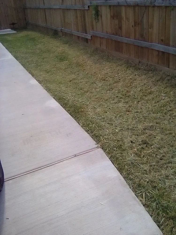 Expert landscaping services near you across Houston, TX - Lawn Proz