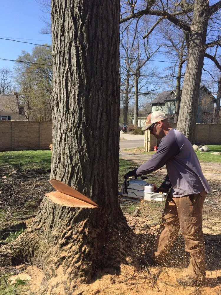 Trusted garden landscaping experts serving Belmont, MI - Lawn Ranger