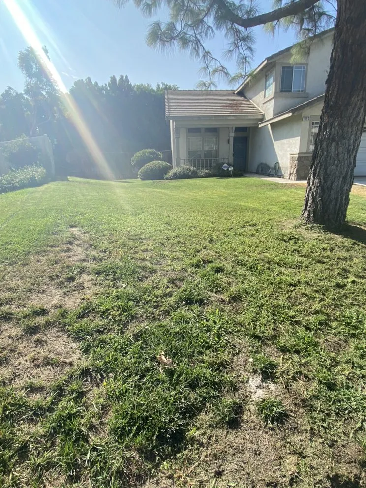 Affordable yard maintenance in Colton, CA - Lawn Ranger