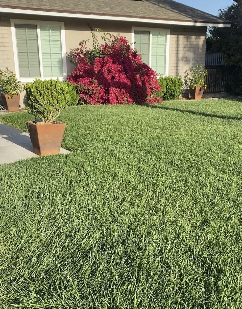 Professional landscaping services for year-round maintenance in Colton, CA by Lawn Ranger
