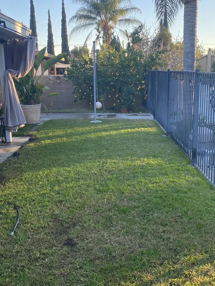 Affordable residential landscaping for outdoor upgrades across Colton, CA - Lawn Ranger