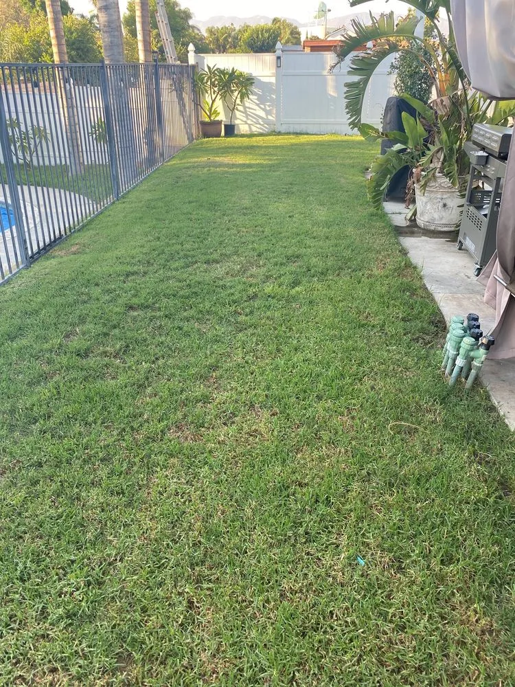 Top-rated landscape design experts serving Colton, CA - Lawn Ranger