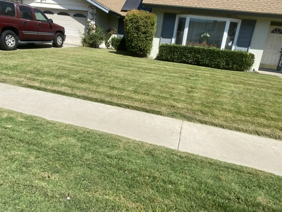 Top-rated residential landscaping near you across Colton, CA - Lawn Ranger
