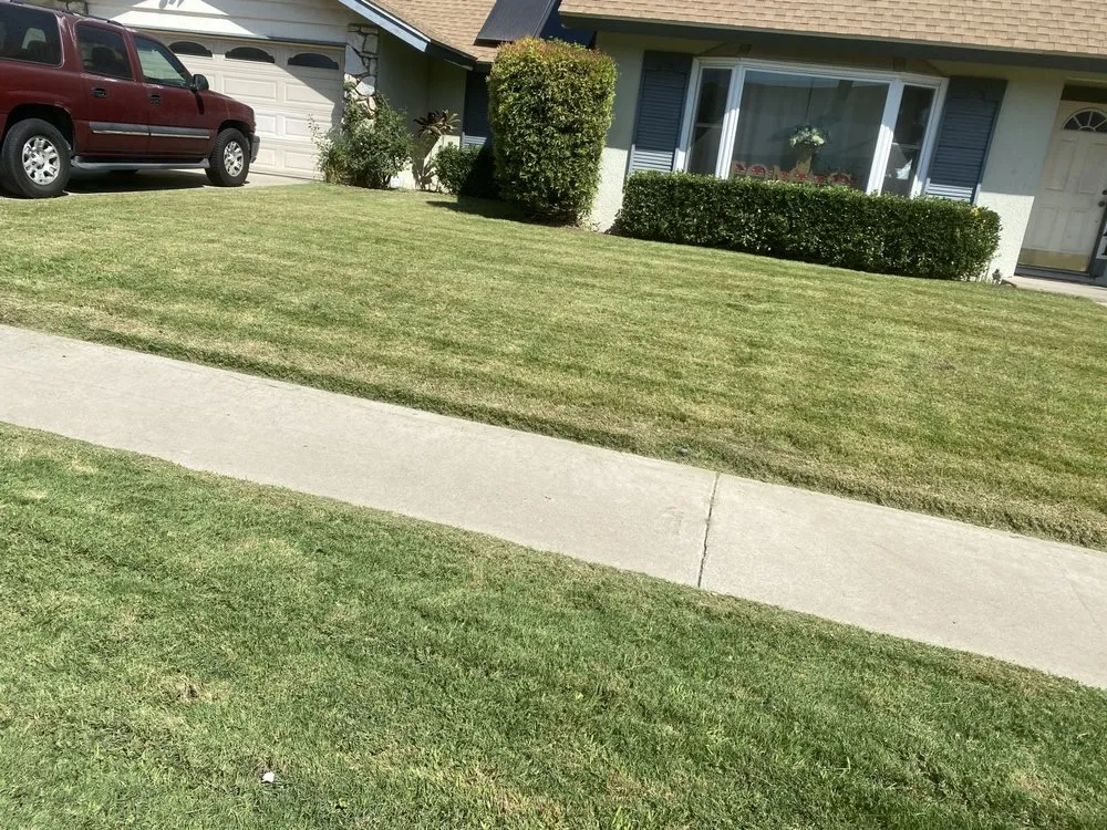 Expert yard maintenance for outdoor upgrades across Colton, CA - Lawn Ranger