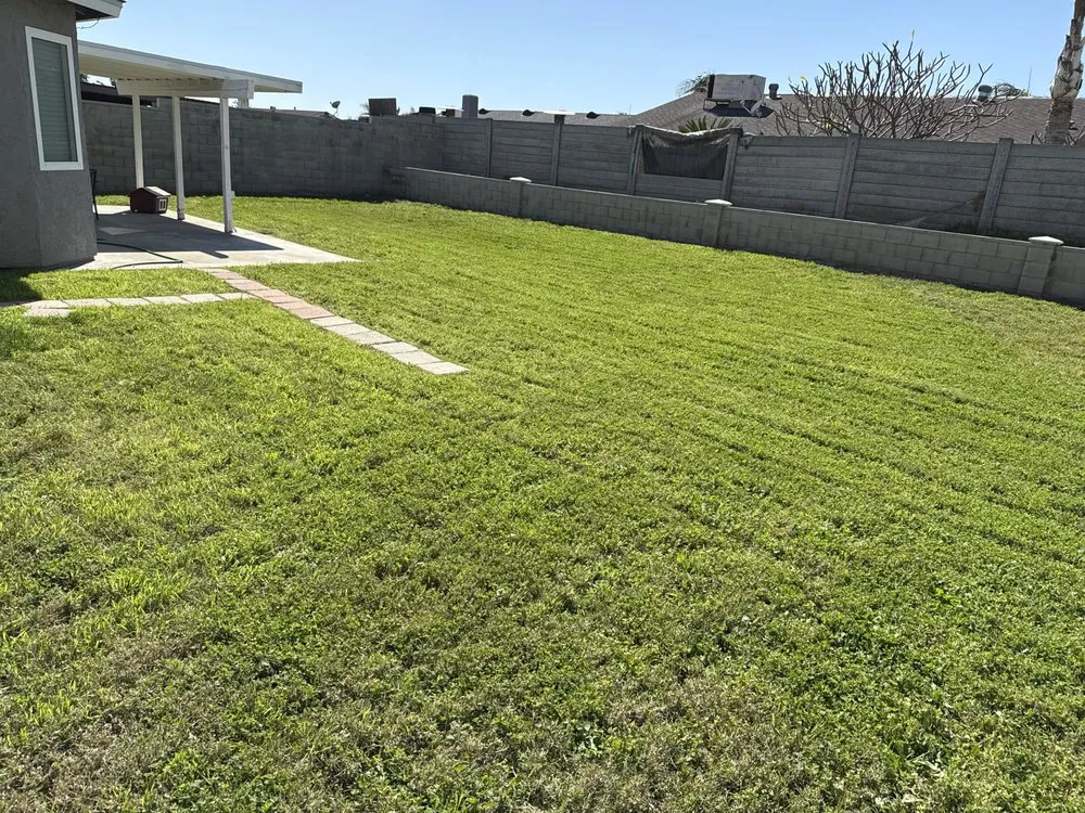 Custom lawn mowing service for outdoor upgrades across Colton, CA - Lawn Ranger