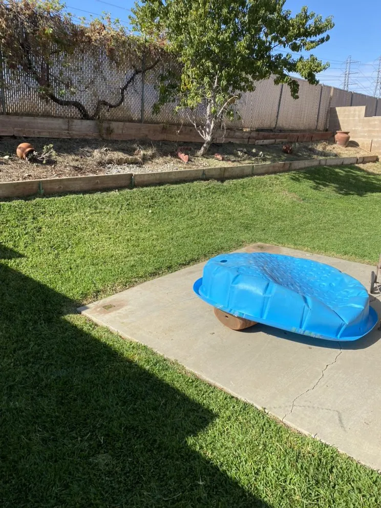 Professional yard cleanup service in Colton, CA - Lawn Ranger