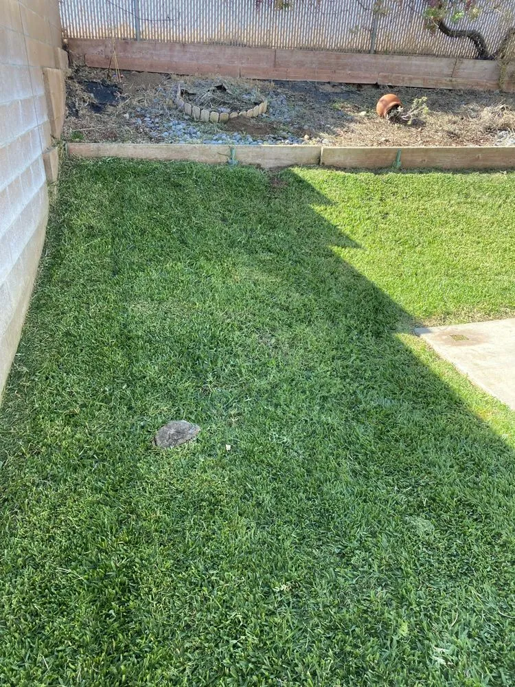 Professional outdoor landscaping in Colton, CA by Lawn Ranger
