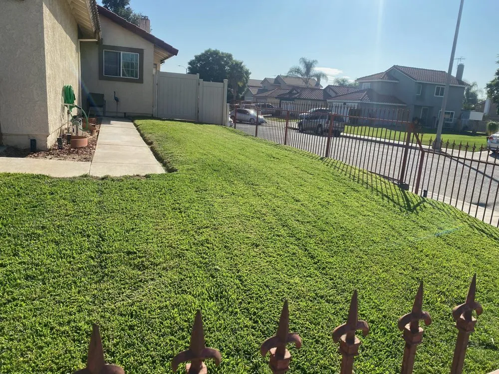 Reliable landscaping services experts serving Colton, CA - Lawn Ranger